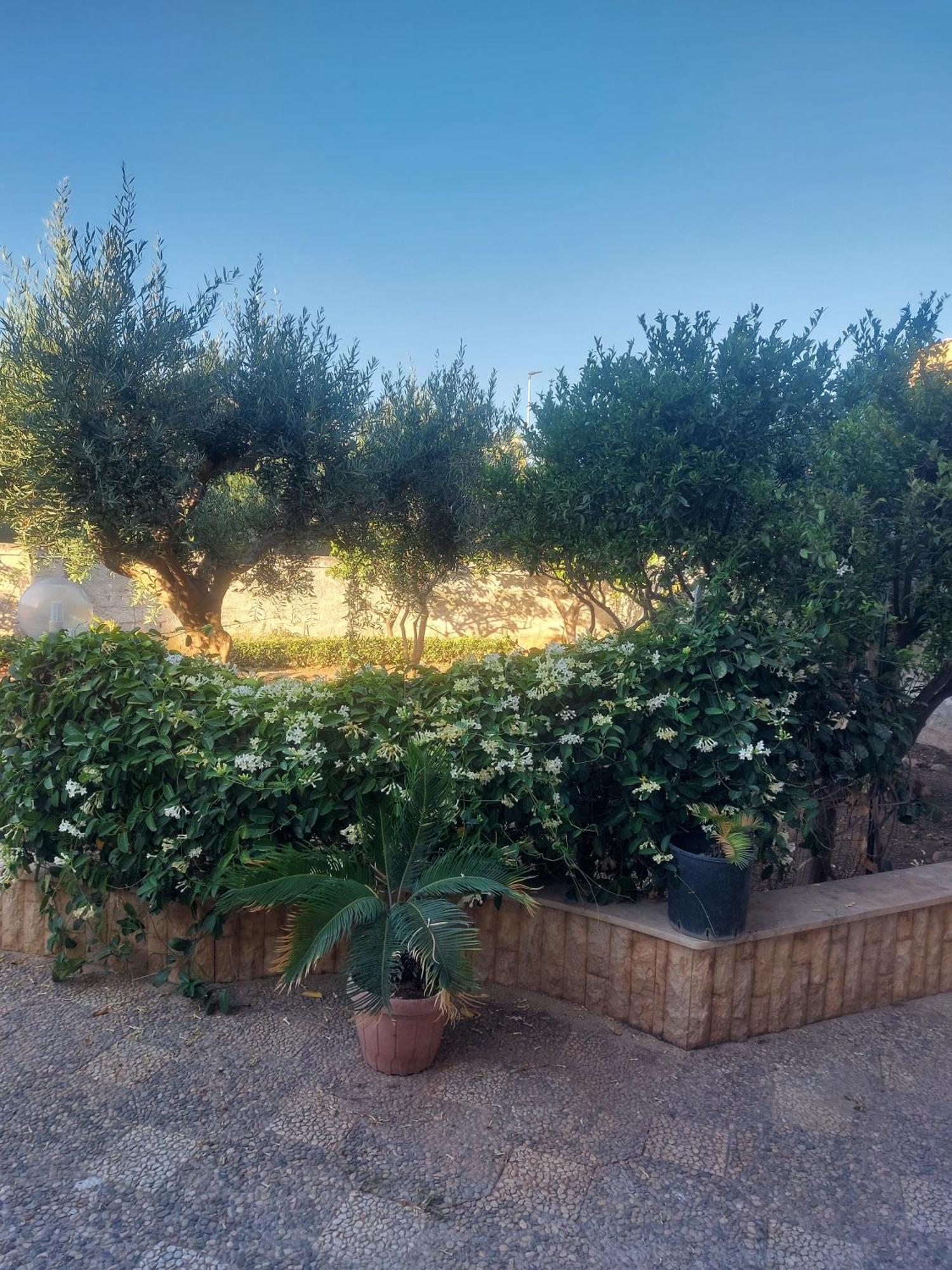 Alcantara Suites Trapani Exterior foto